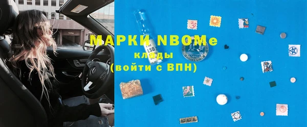 гашик Алексин