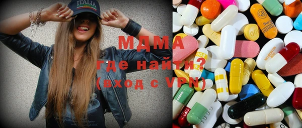 шишки Надым