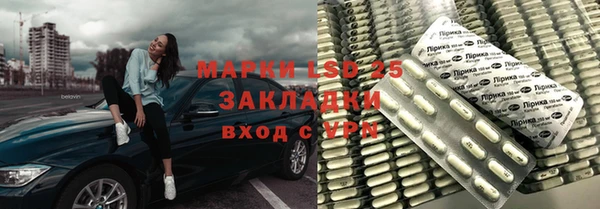 гашик Алексин
