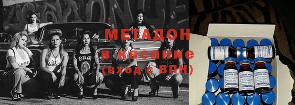 гашик Алексин