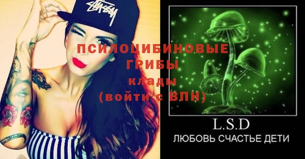 гашик Алексин