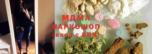 гашик Алексин